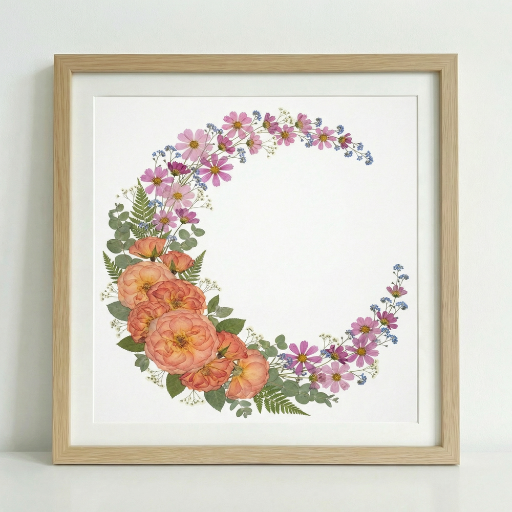 Sichelblüte 