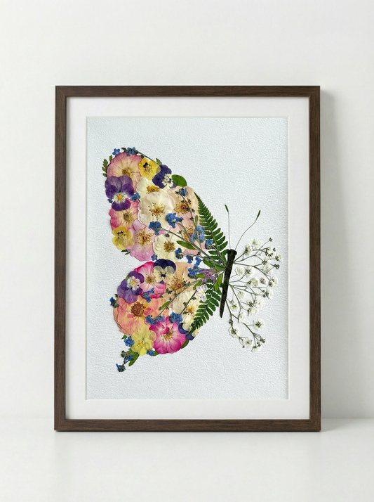 Blütenblattflügel-Schmetterling