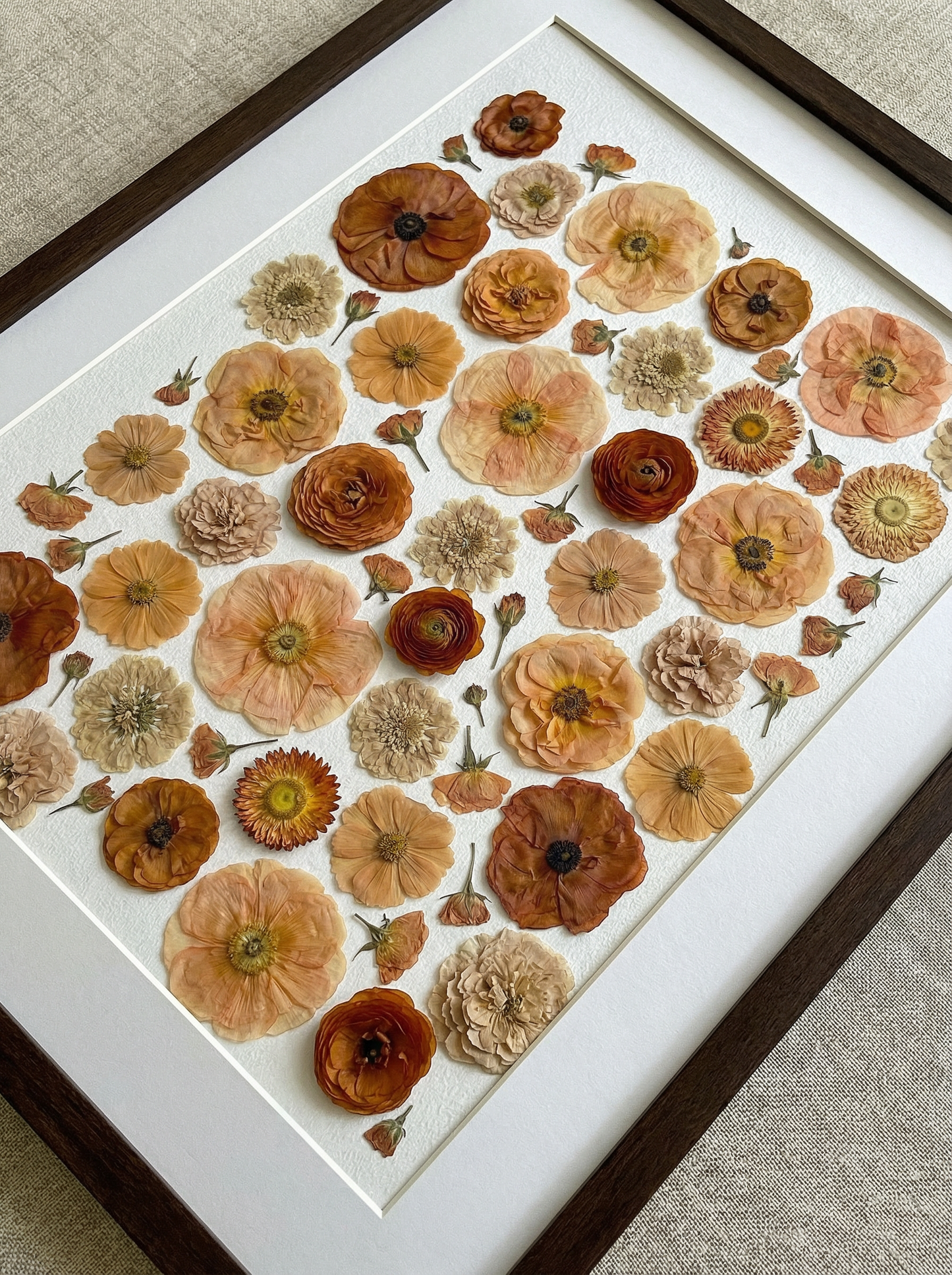 Die Terrakotta-Kollektion