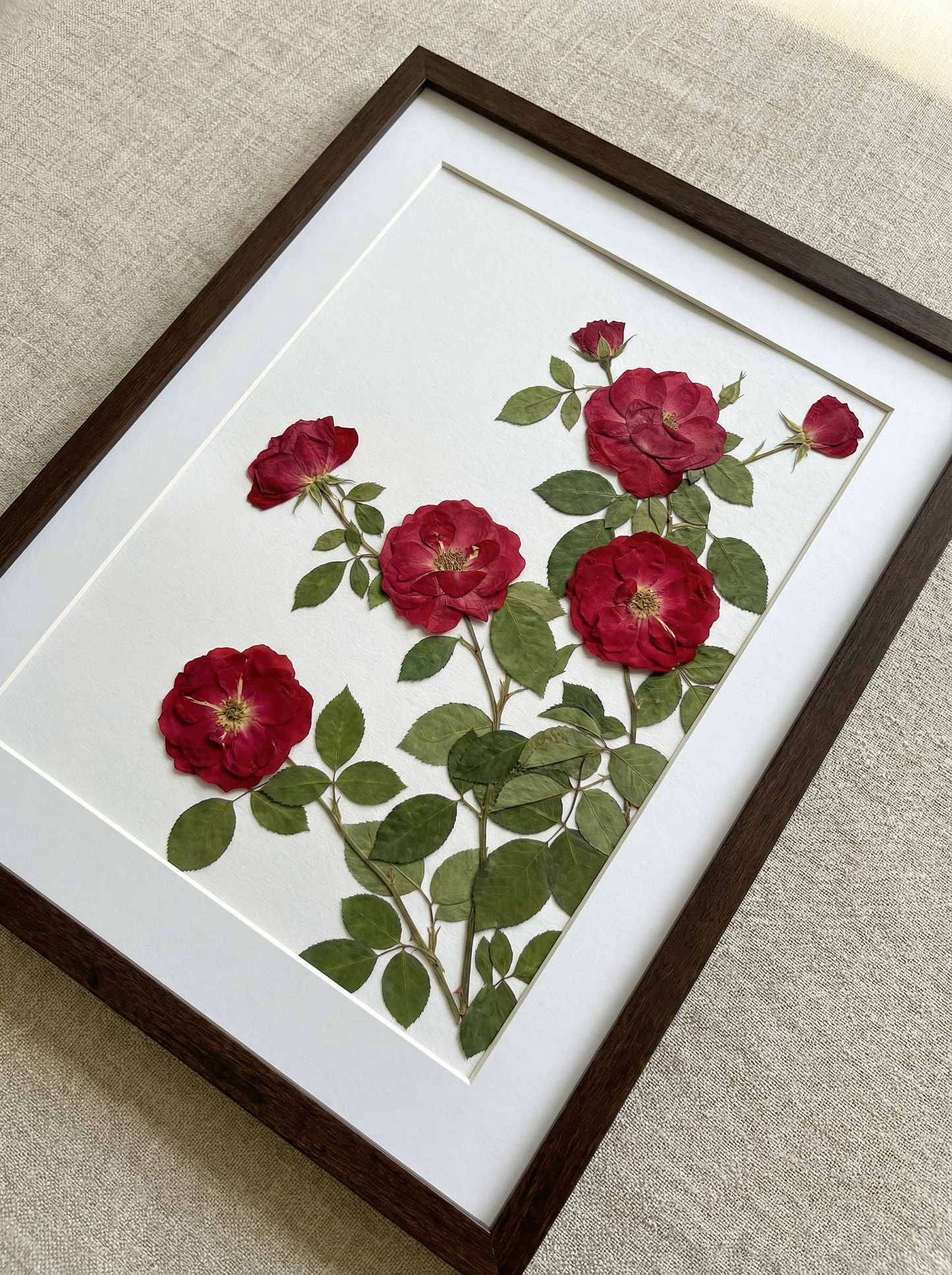 Klettern Scharlachrot