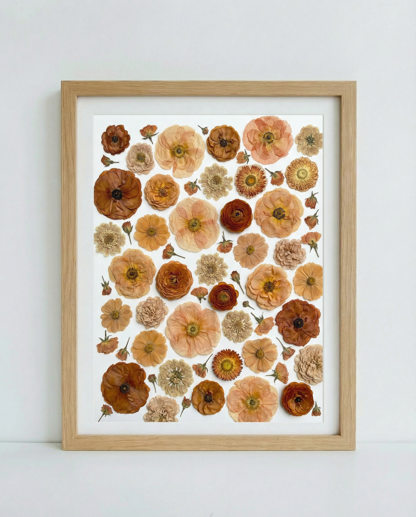 Die Terrakotta-Kollektion