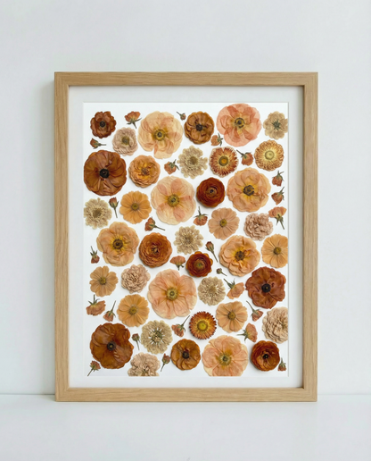 Die Terrakotta-Kollektion