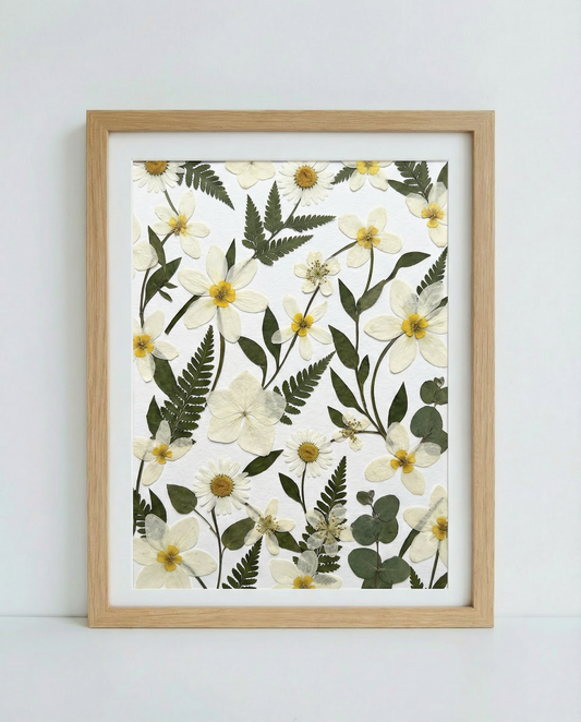 Wilde Gänseblümchenfelder