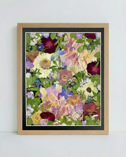 11 x 12,5 Funkelsterne