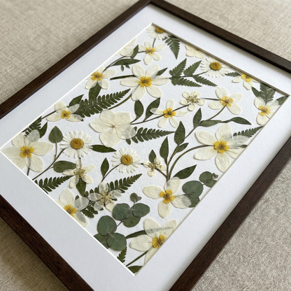 Wilde Gänseblümchenfelder