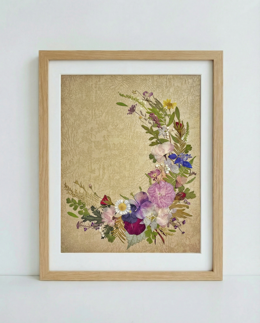 11 x 12,5 Blütenblätter des Mondes