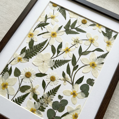 Wilde Gänseblümchenfelder