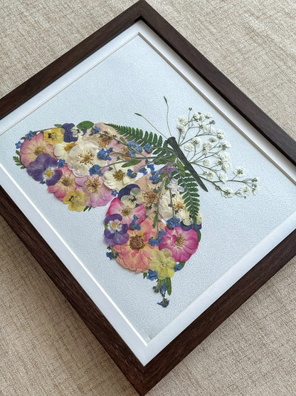 Blütenblattflügel-Schmetterling