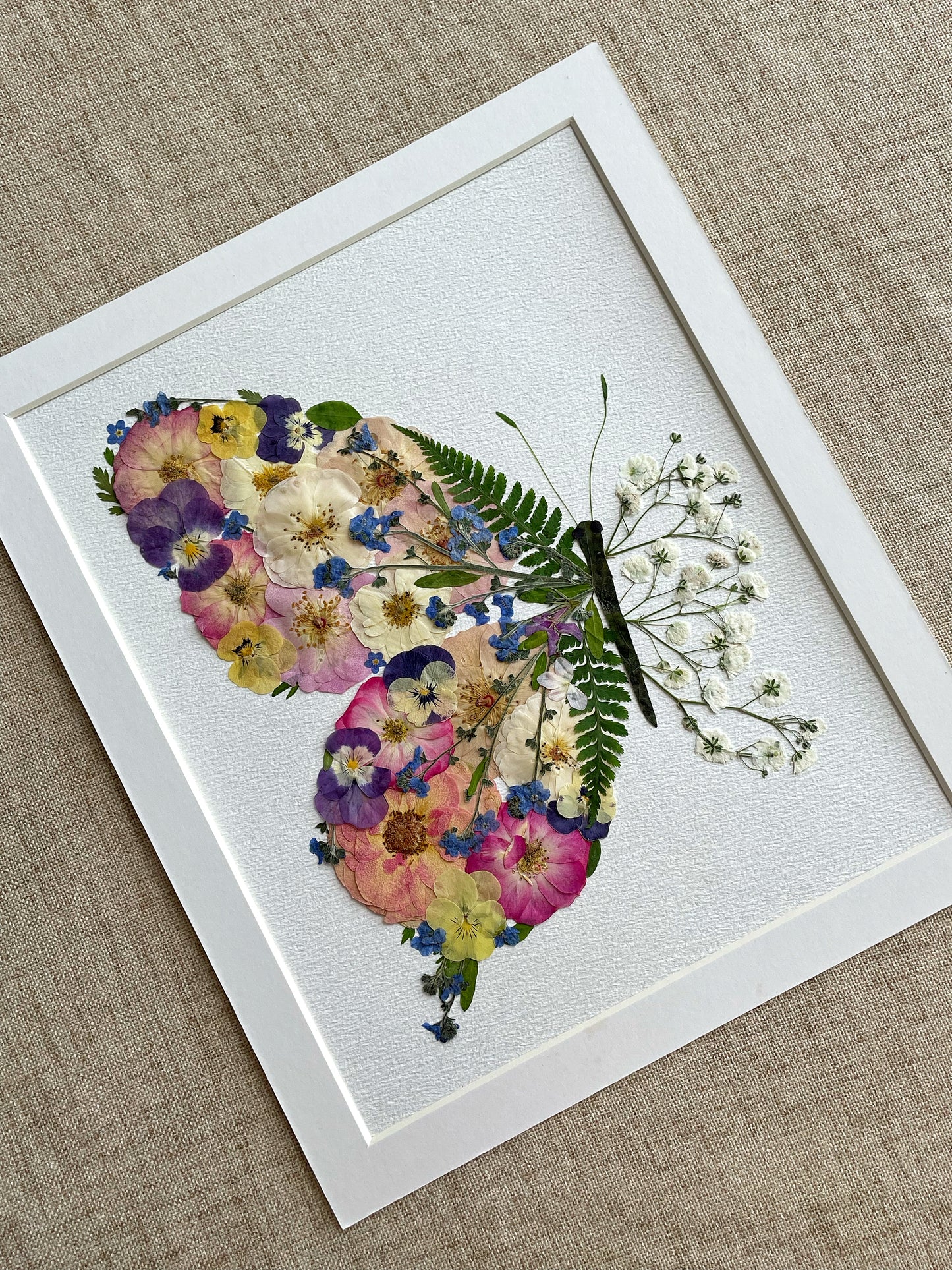 Blütenblattflügel-Schmetterling