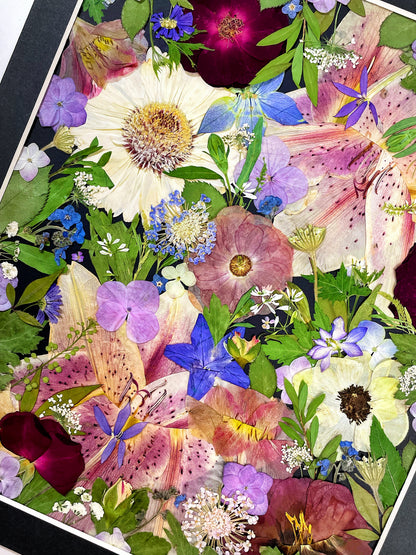 11 x 12,5 Funkelsterne