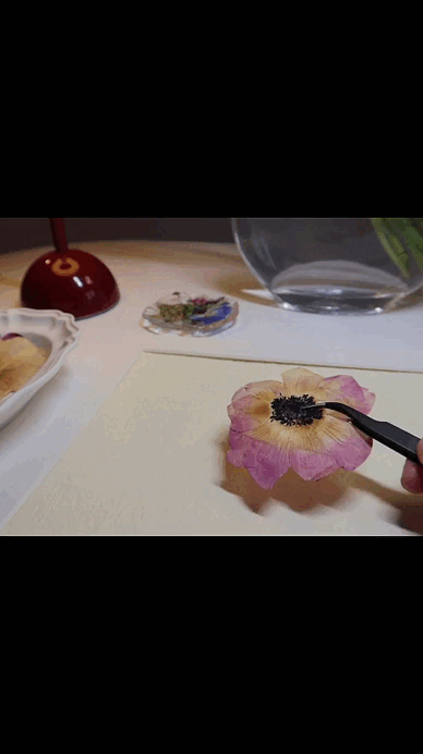 BLÜTE - ROSEN