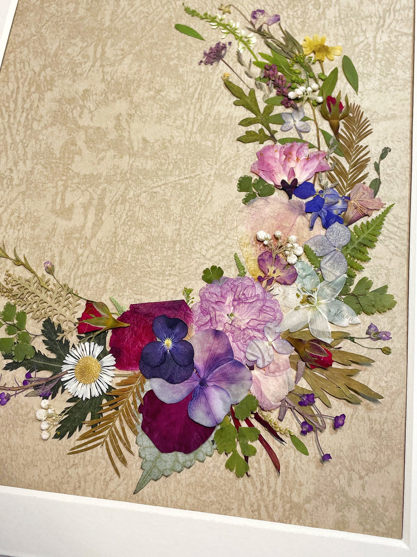 11 x 12,5 Blütenblätter des Mondes