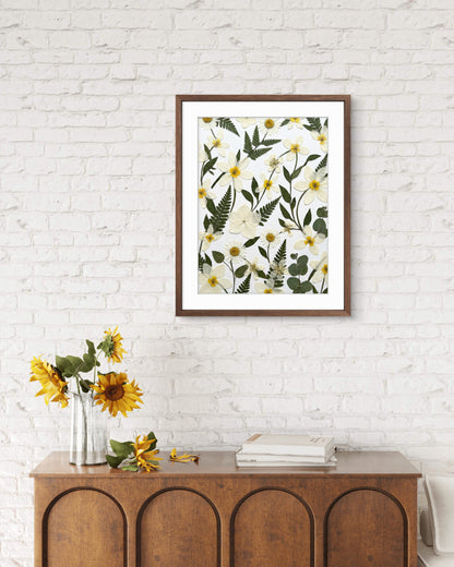 Wilde Gänseblümchenfelder