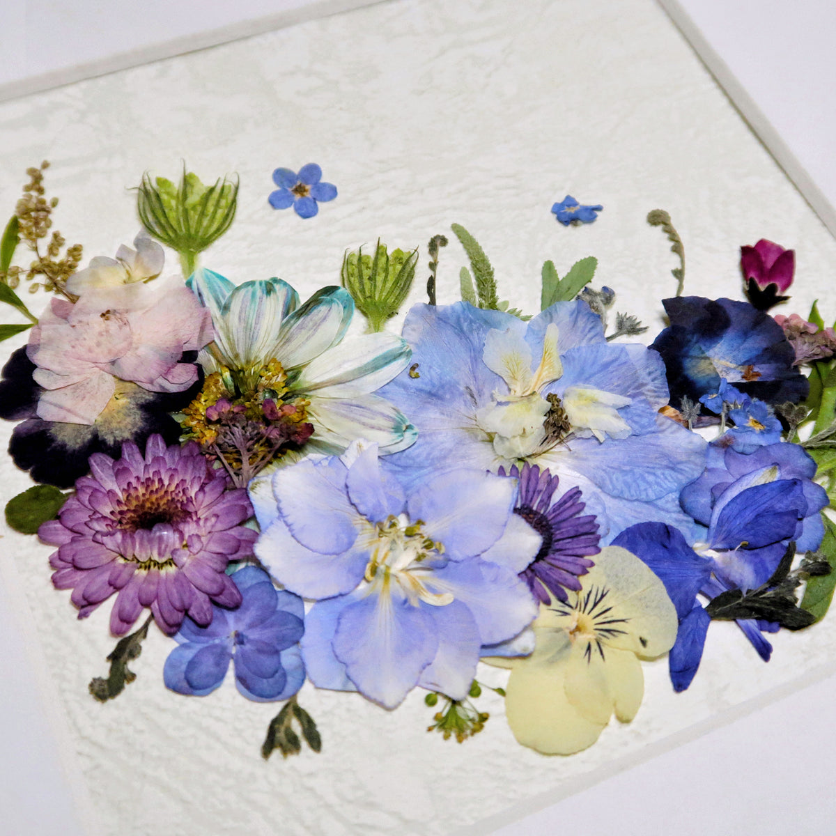 10 × 10 Blaue Brise