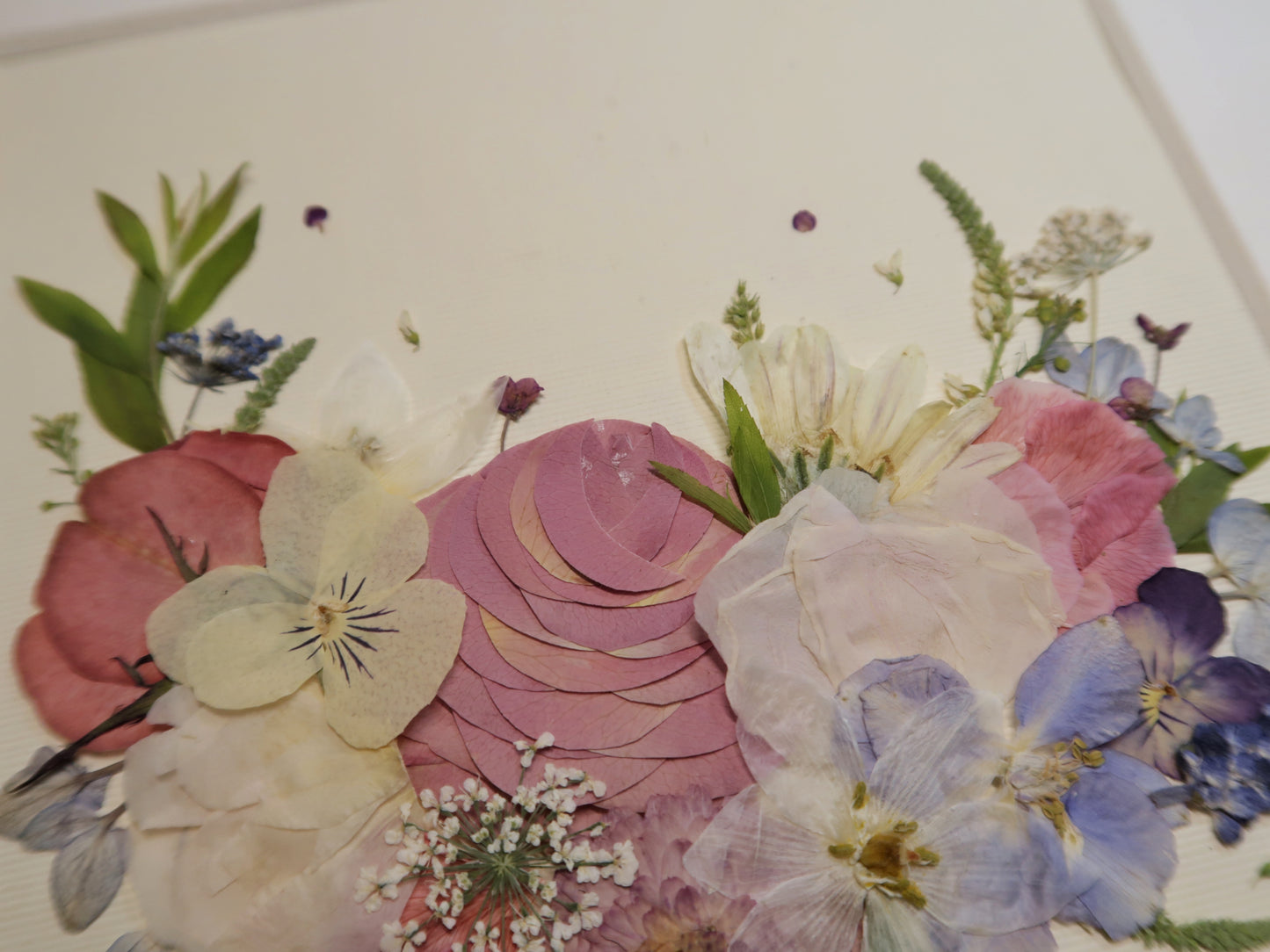 10 x 10 Serenade in Pink