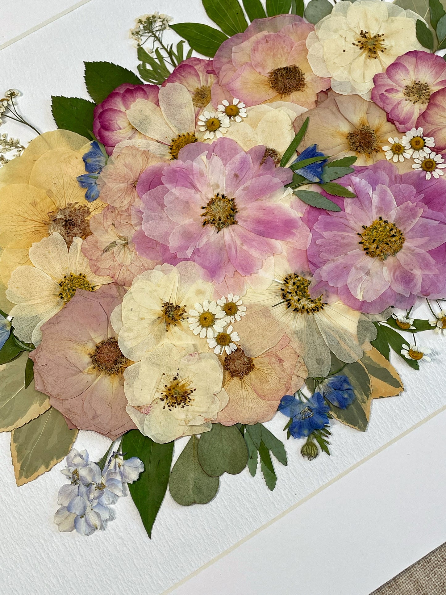 Pastellfarbene Traumblüten