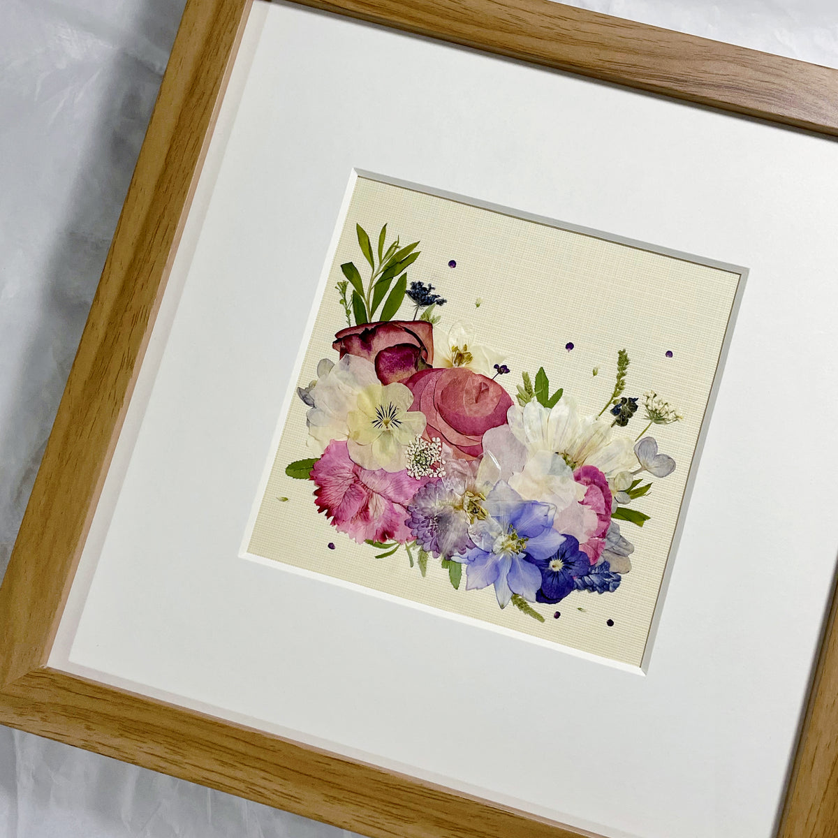 10 × 10 Serenade in Rosa