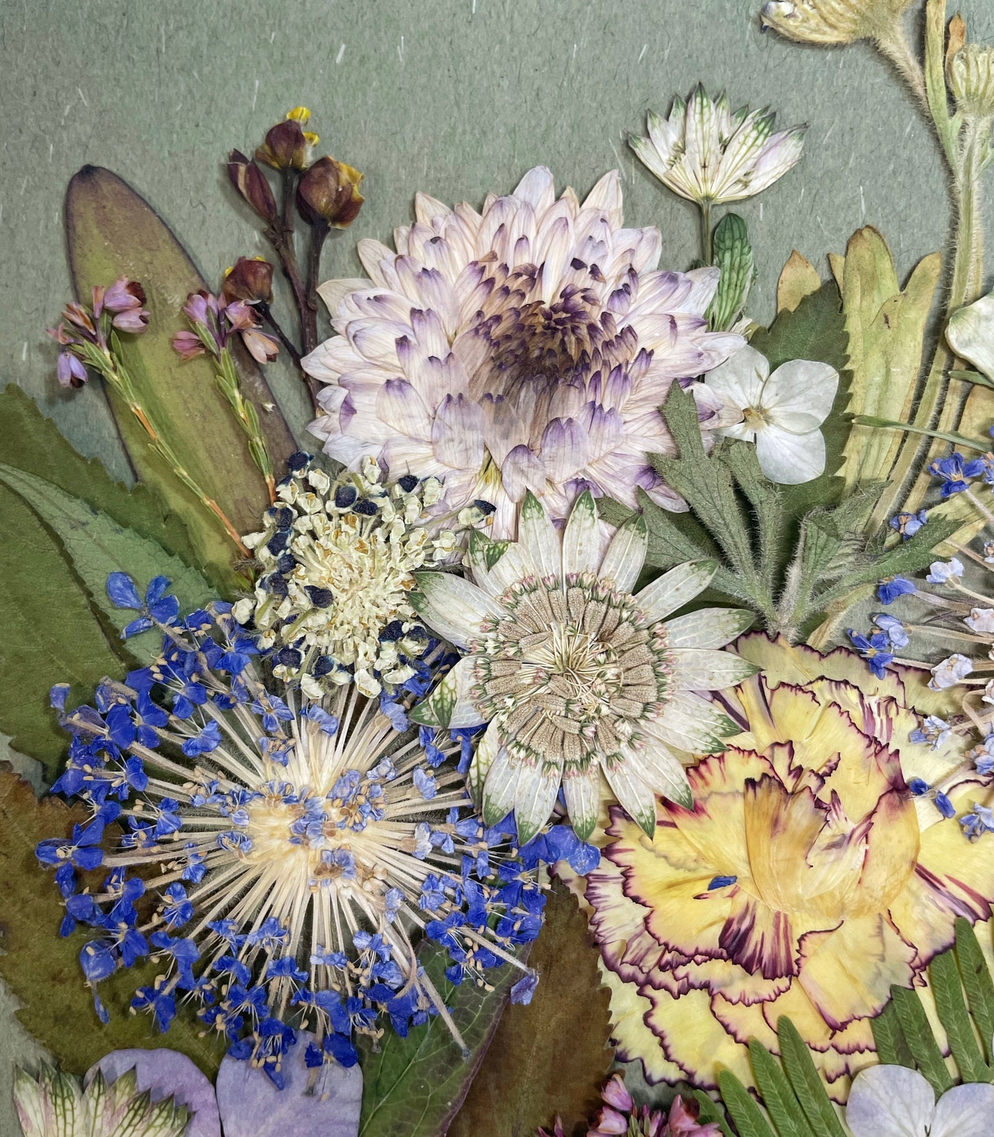 10 x 10 Sommernachtbrise