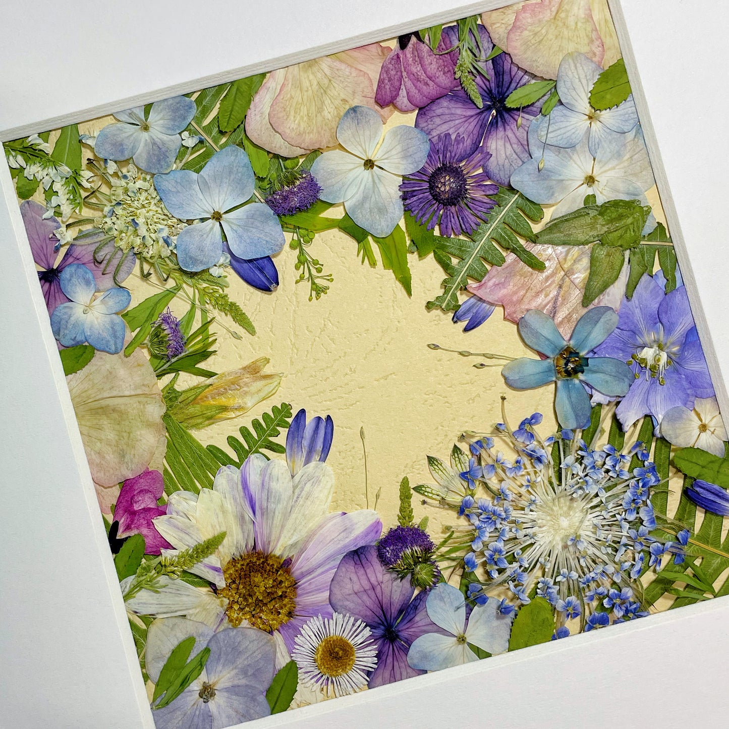 10 x 10 Sonnenverwöhnter Garten