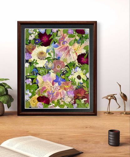 11 x 12,5 Funkelsterne