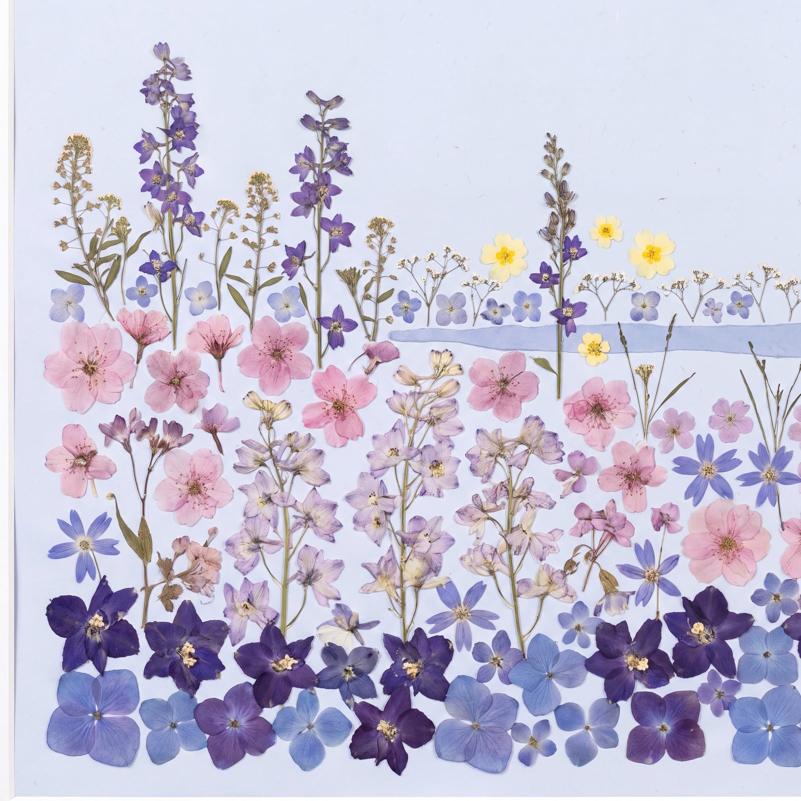 Lakeside Wildflower Meadow