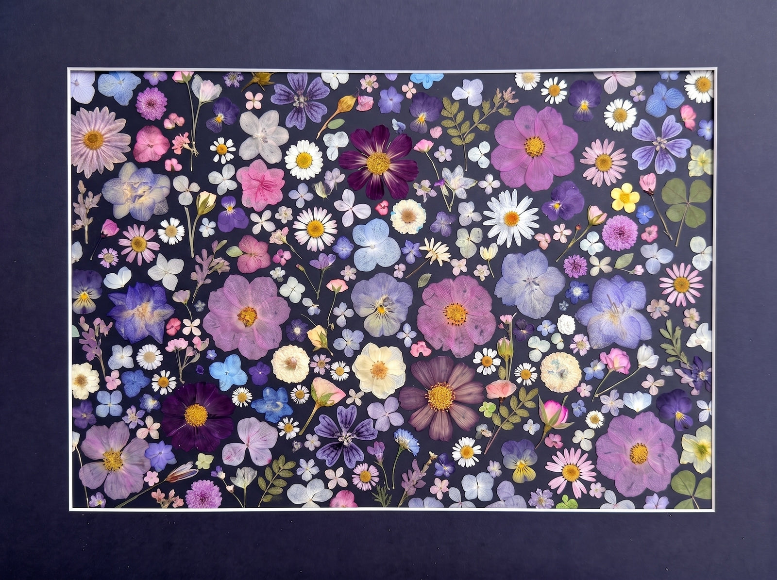 Starlit Meadow
