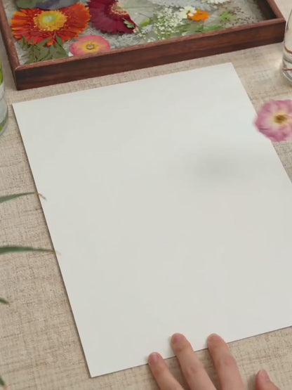 Blütenblattflügel-Schmetterling