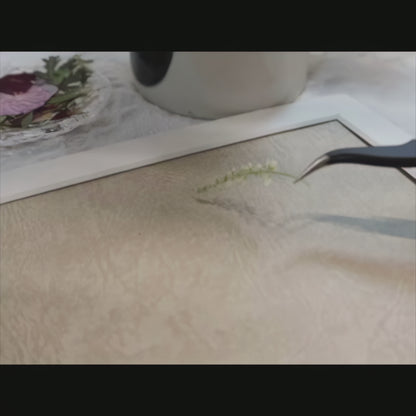 11 x 12,5 Blütenblätter des Mondes