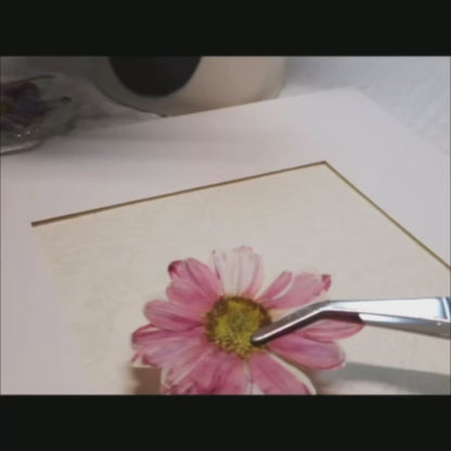 10 x 10 Frühlingsflüstern