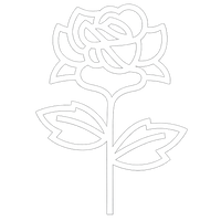 Wir beginnen den botanischen Prozess